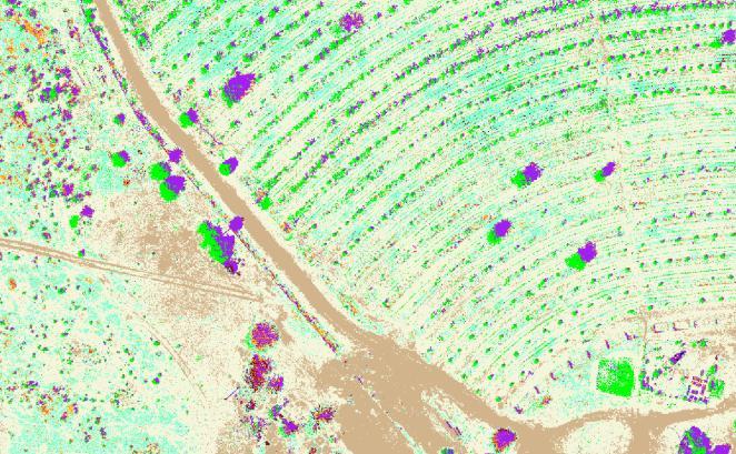 Satellite classified field analysis