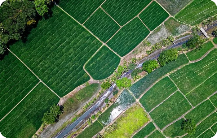Farm Boundaries