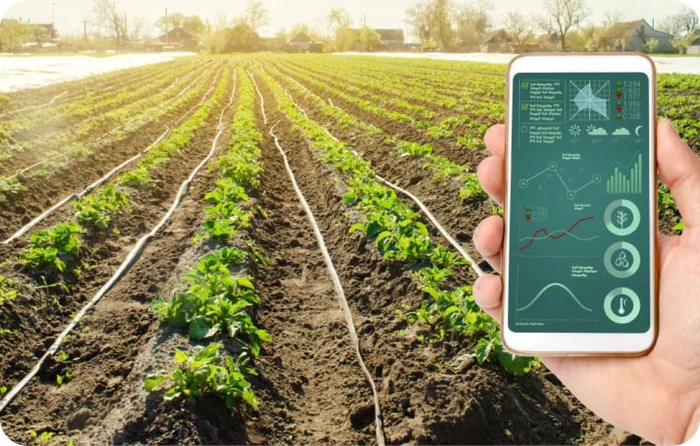 Harvest Monitoring